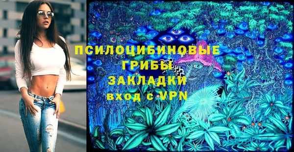 первитин Армянск