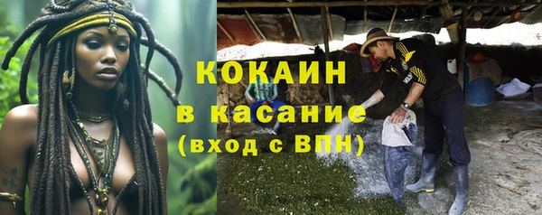 эйфоретик Арсеньев