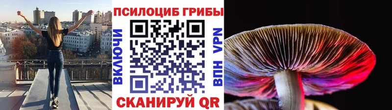 Галлюциногенные грибы прущие грибы  где купить   Талдом 
